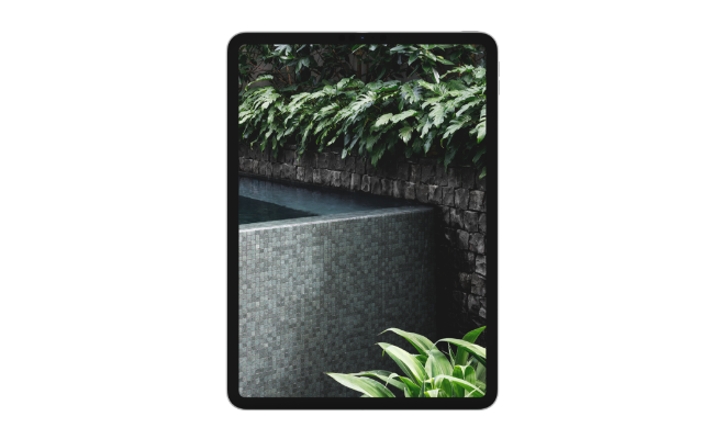 Background blur photo 1